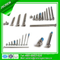 Cheese Head Special Stainless Steel Bolt